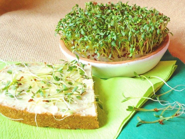 Квітучий крес салат-використання в їжу і при лікуванні захворювань