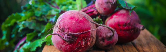 Буряк кормовий, вирощений своїми руками — - що потрібно врахувати