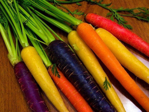 Фіолетова, біла і жовта морквина, а також найкращі сорти моркви