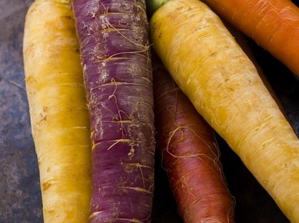 Фіолетова, біла і жовта морквина, а також найкращі сорти моркви