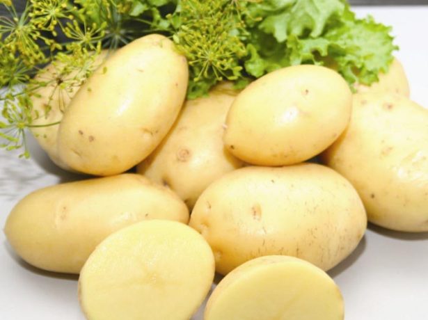 Картопля імпала-опис ранньостиглого сорту високої якості