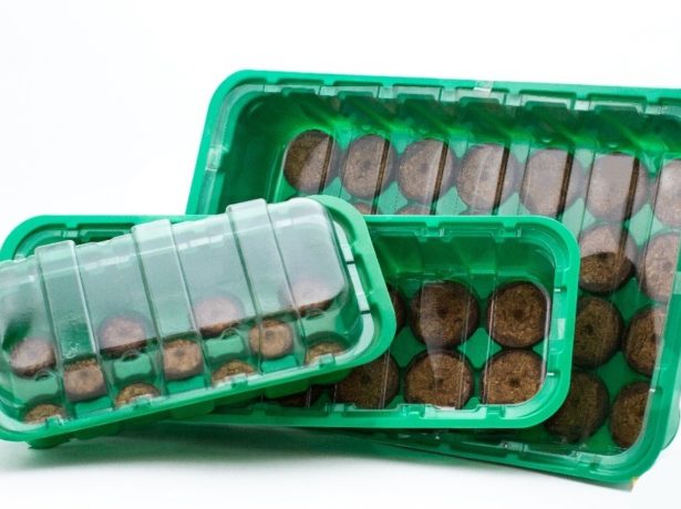 Як правильно користуватися торфяними таблетками для розсади