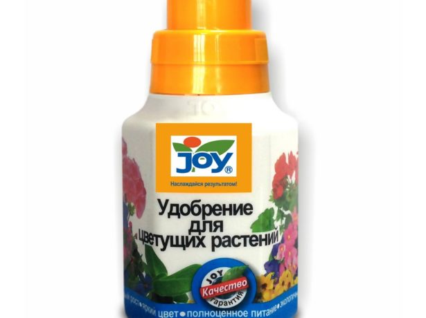 Гемантус: як виростити криваву квітку
