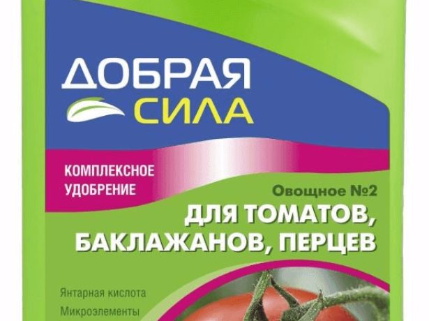 Журавлина в цукрі: популярний сорт дрібноплідних томатів