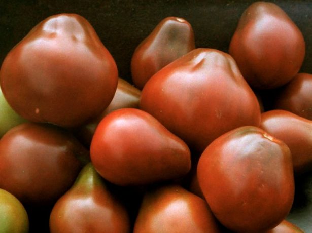 Томат груша чорна: особливості сорту і вирощування