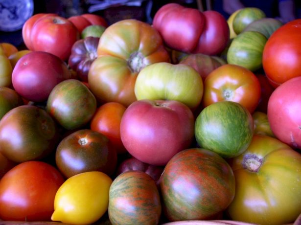 Pomme damour від москви до самих до околиць: способи вирощування помідорів в різних регіонах