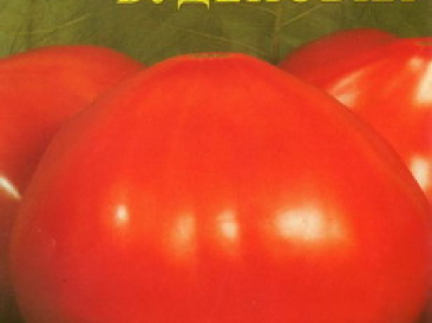 Челнок — томатный дипломат