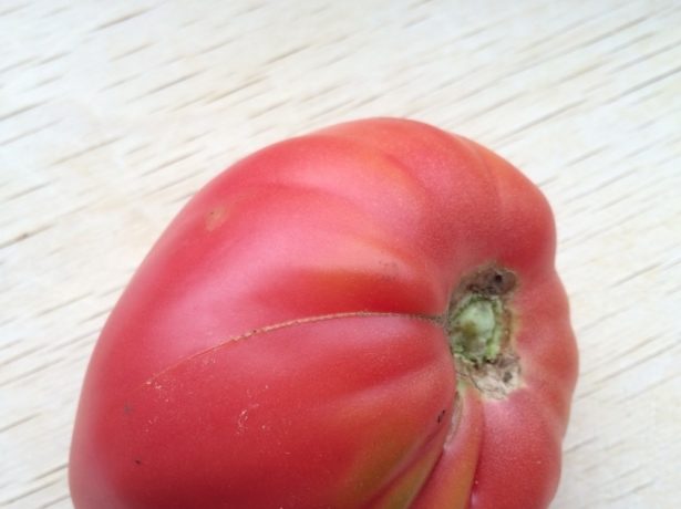 Добрий томат волове серце: опис сорту