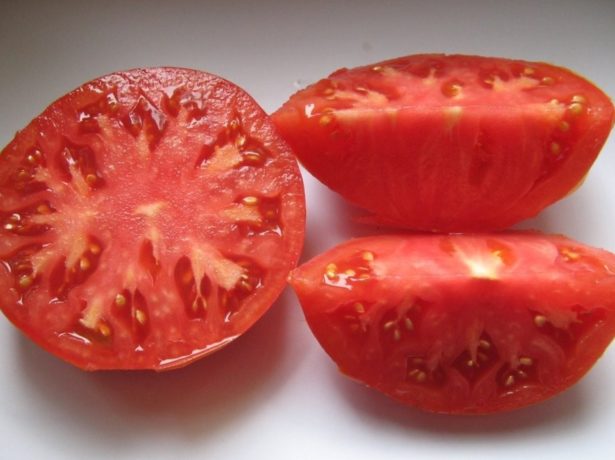 Сорт гордість сибіру-гігантські томати у вашому городі