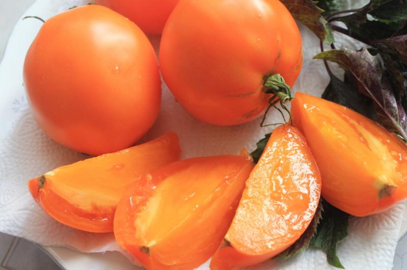 Томаты дамские пальчики: вкусные, урожайные, неприхотливые
