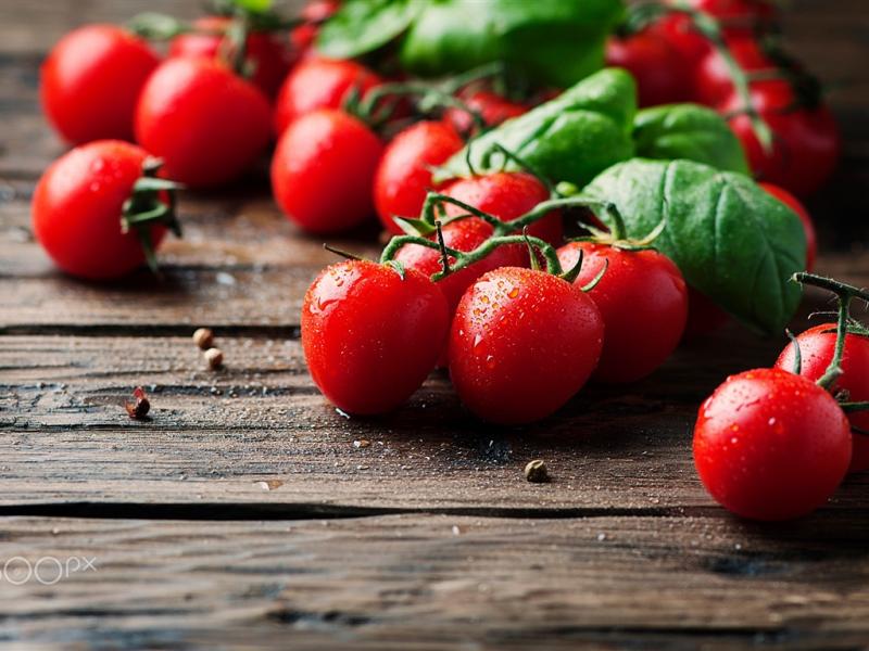 Томат чухлома — красивый, вкусный и урожайный сорт