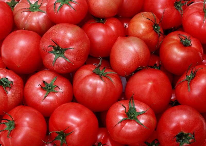 Томаты розовые щёчки — быстрый рост и отличный вкус