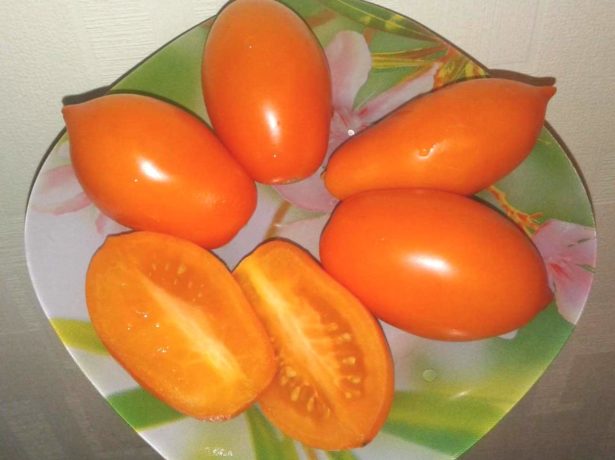 У всіх на вустах: кращі сорти томатів для середньої смуги росії