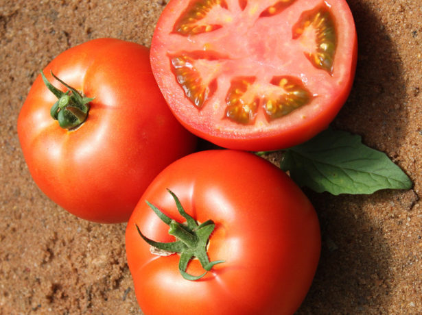 Добірка кращих сортів томатів для вирощування в кіровській області