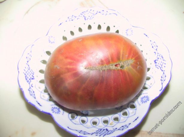 Про екзотичний сорт томатів чорний ананас