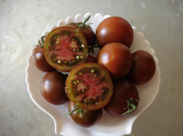 Сорт гордість сибіру-гігантські томати у вашому городі