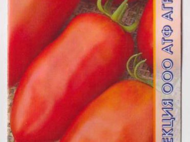 Сорт томатів ніагара-водоспад з помідорів