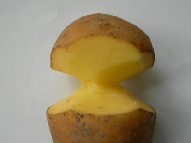 Вирощування картоплі по-китайськи