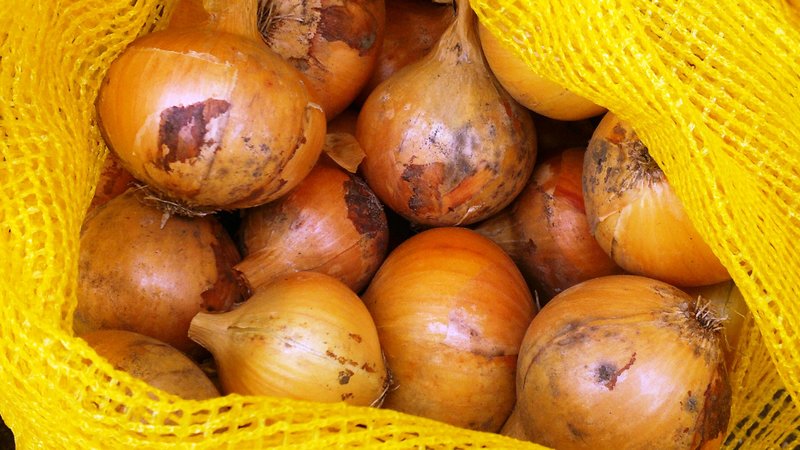 Что может расти на грядке после клубники