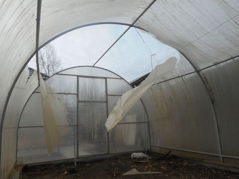 Як відремонтувати теплицю з полікарбонату своїми руками