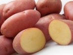 Збільшуємо врожайність картоплі за допомогою добрив