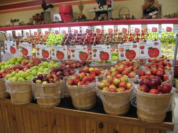 Способи зберігання яблук взимку – як зберегти яблука аж до нового сезону?