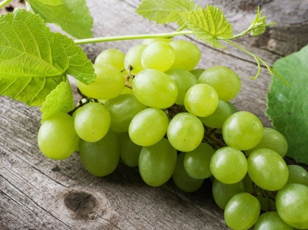 Виноград-корисні властивості плодів і соку для зміцнення здоровя