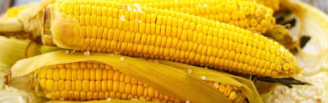 Особливості осіннього догляду за агрусом, включаючи обробку, підгодівлю і обрізку гілок