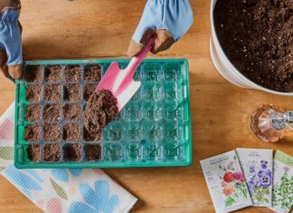 Jangan Memulai Benih Ini Terlalu Dini: Panduan Waktu bagi Tukang Kebun