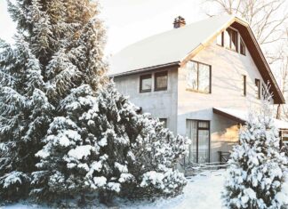 Bomen beschermen tegen sneeuwschade: deskundig advies